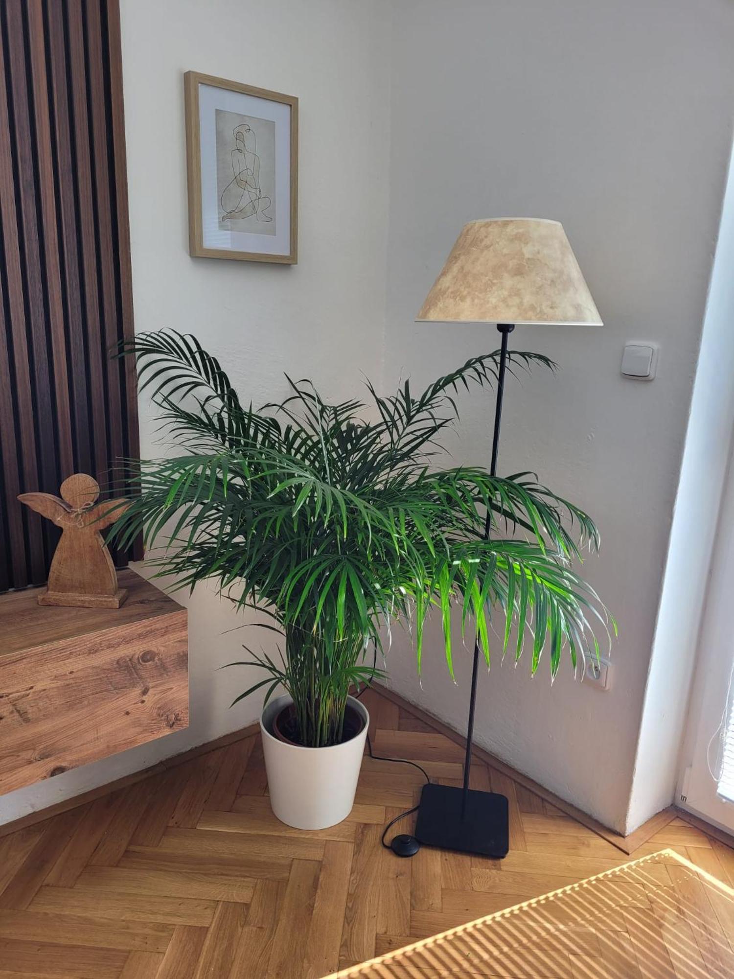 Novy Apartman Eva Jičín المظهر الخارجي الصورة